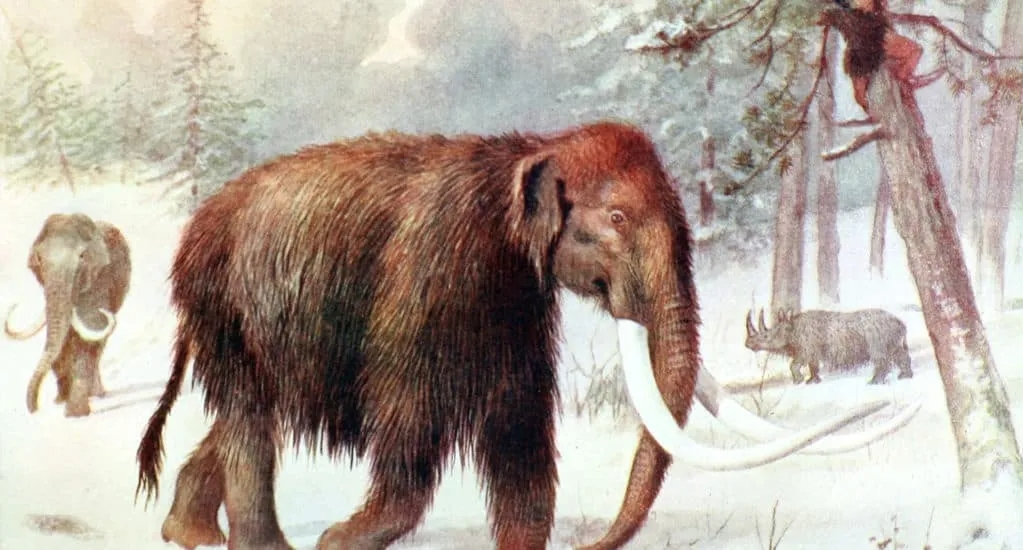 Zwierzęta, które wyginęły w XX wieku: przyczyny, historia i wpływ na ekosystem