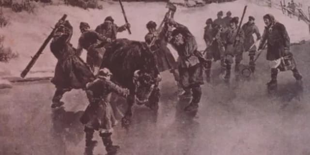 Kto ocalił żubry przed wyginięciem? Historia ratowania polskich żubrów