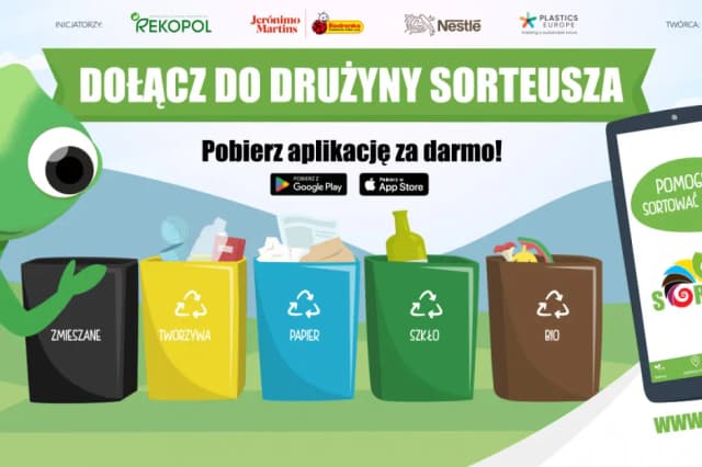 Gdzie wyrzucić karton? Praktyczne porady, by uniknąć błędów w segregacji