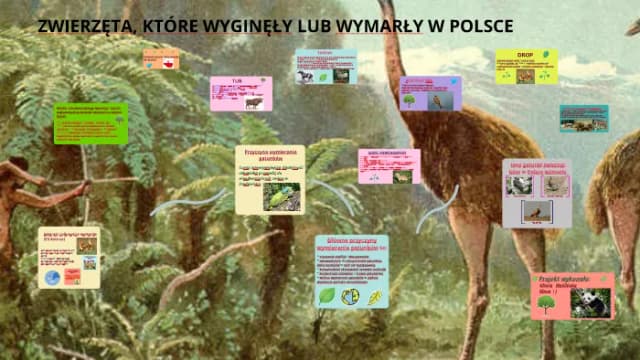 Gatunki, które wyginęły w Polsce: przyczyny, historia i próby ochrony